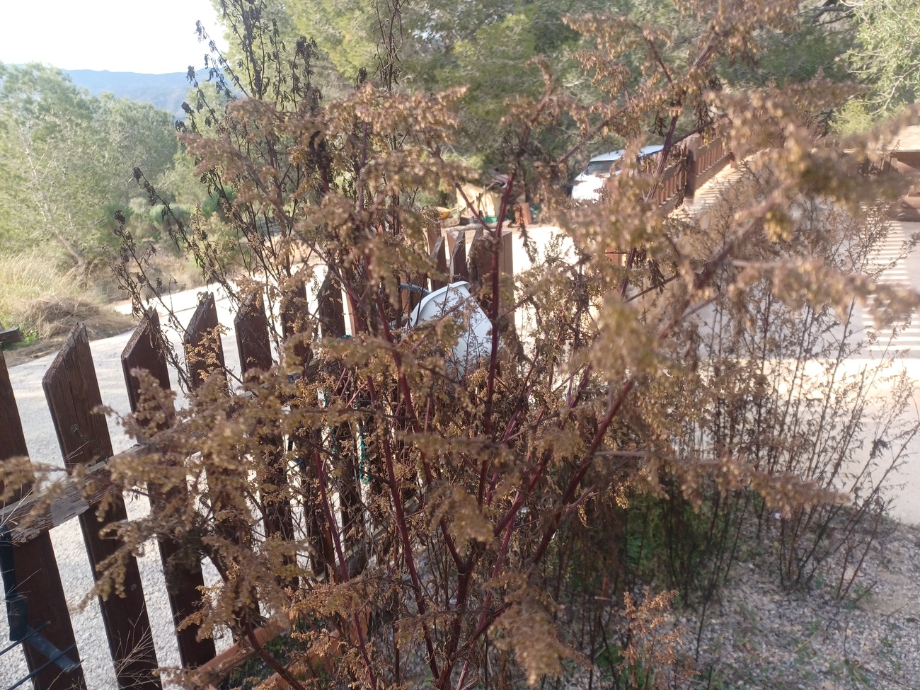 3 Bedroom Finca in Gea Y Truyols, Murcia