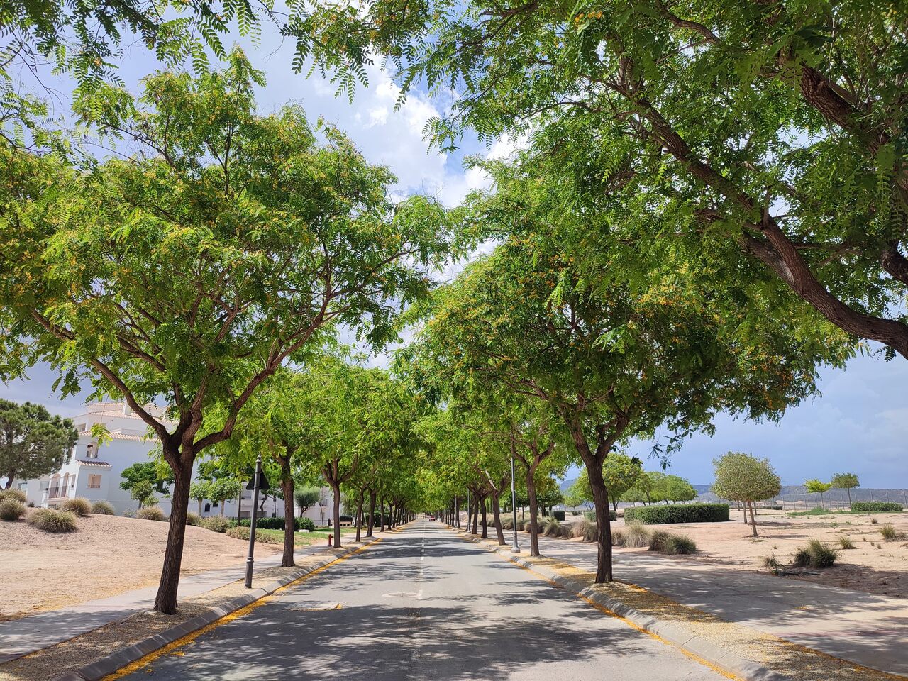 2 Bedroom Apartment in Hacienda Riquelme Golf Resort, Murcia